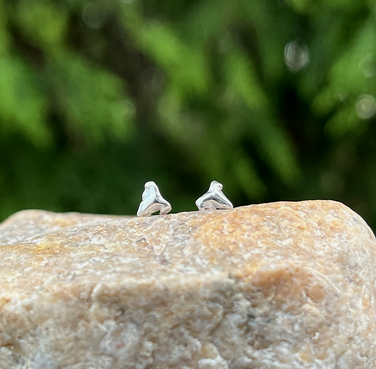 sterling silver kitten tooth stud earrings on a piece of granite