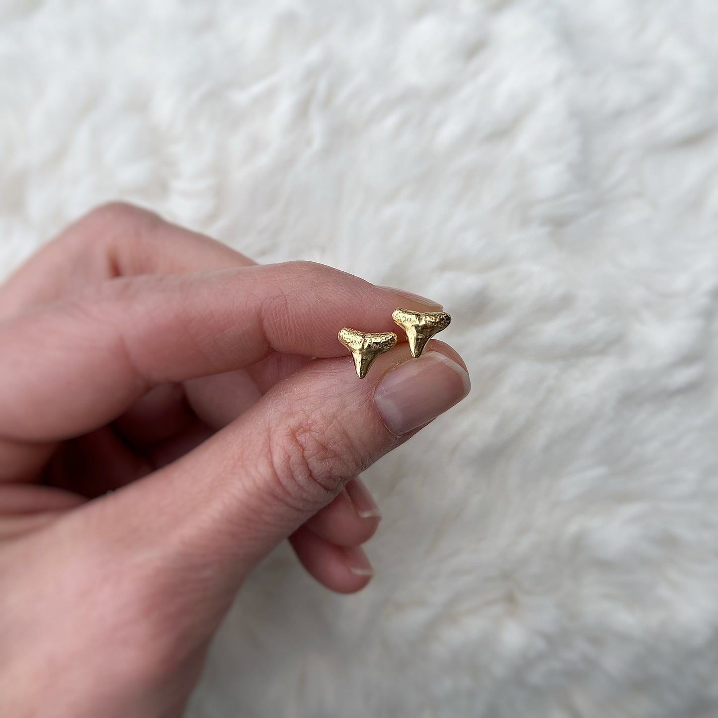 gold vermeil shark tooth studs in a hand