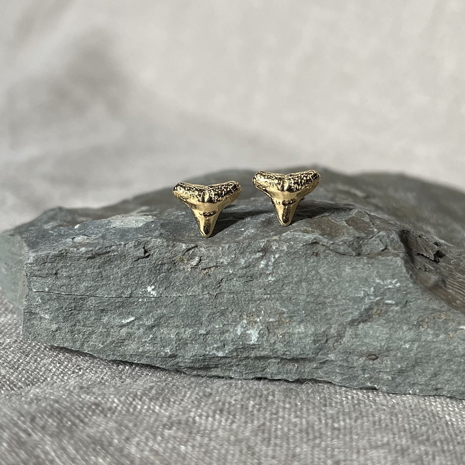 gold vermeil shark tooth studs